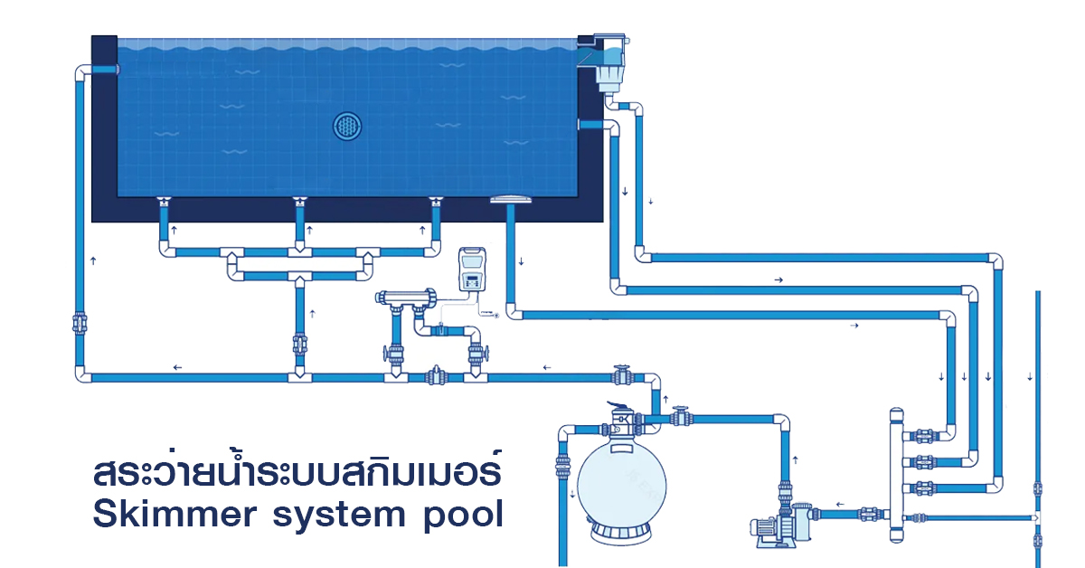 Skimmer 5