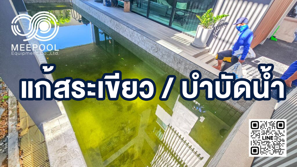 สระเขียวแก้ยังไงให้หายขาด? วิธีบำบัดน้ำสระทีละขั้นตอน